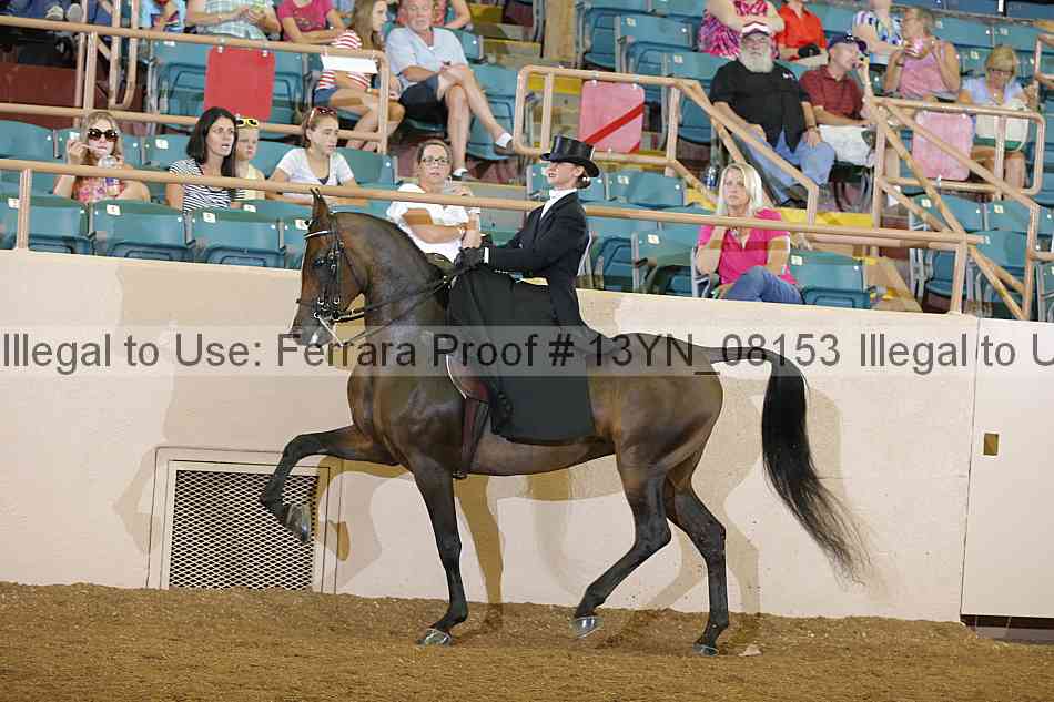 Proof 13yn_08153