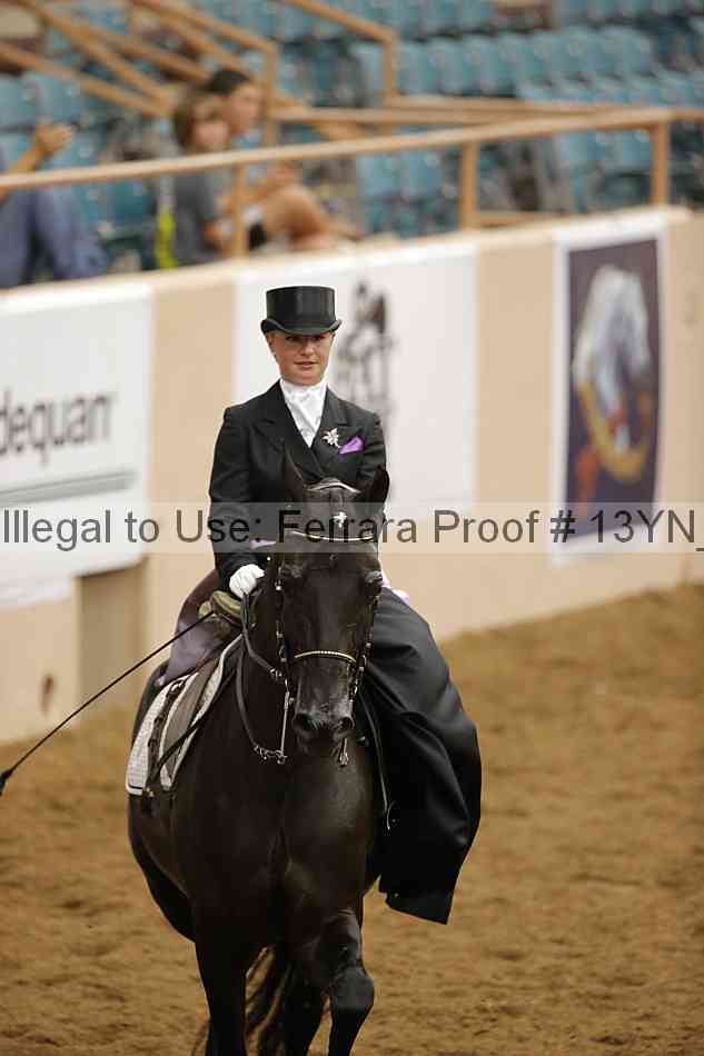 Proof 13yn_08156
