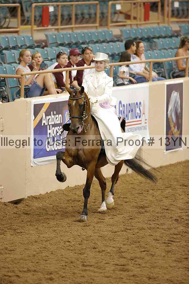 Proof 13yn_08160