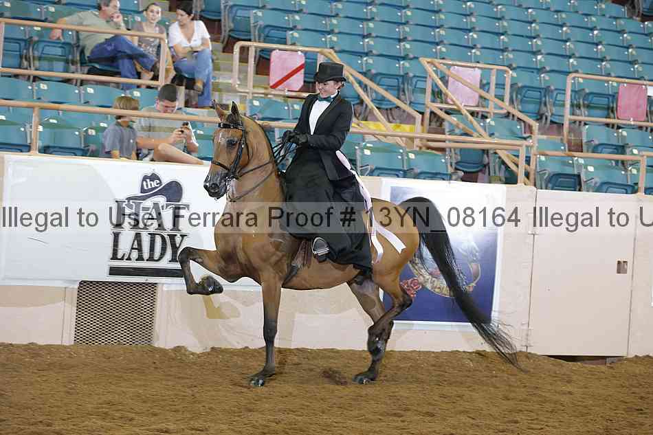Proof 13yn_08164