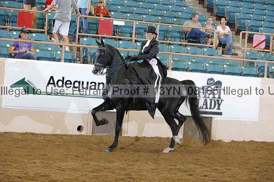Proof 13yn_08165