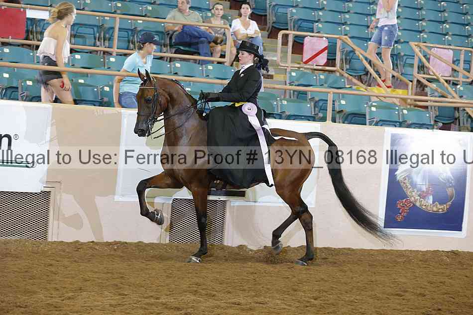 Proof 13yn_08168