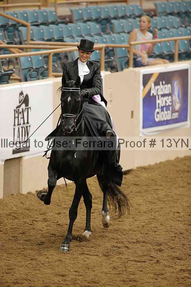 Proof 13yn_08169