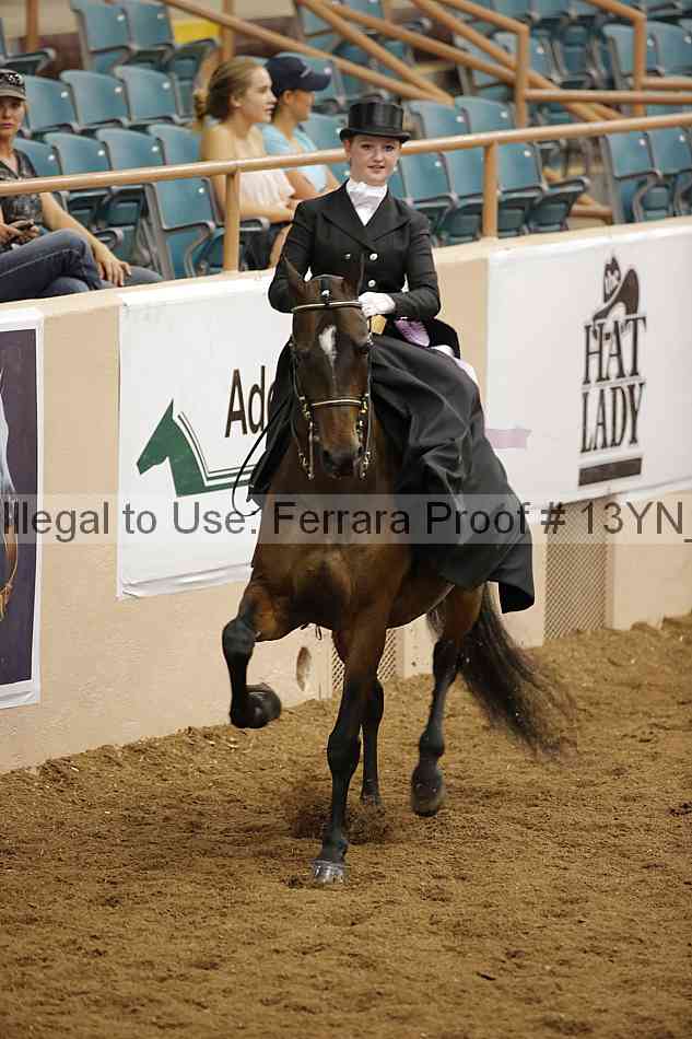 Proof 13yn_08175