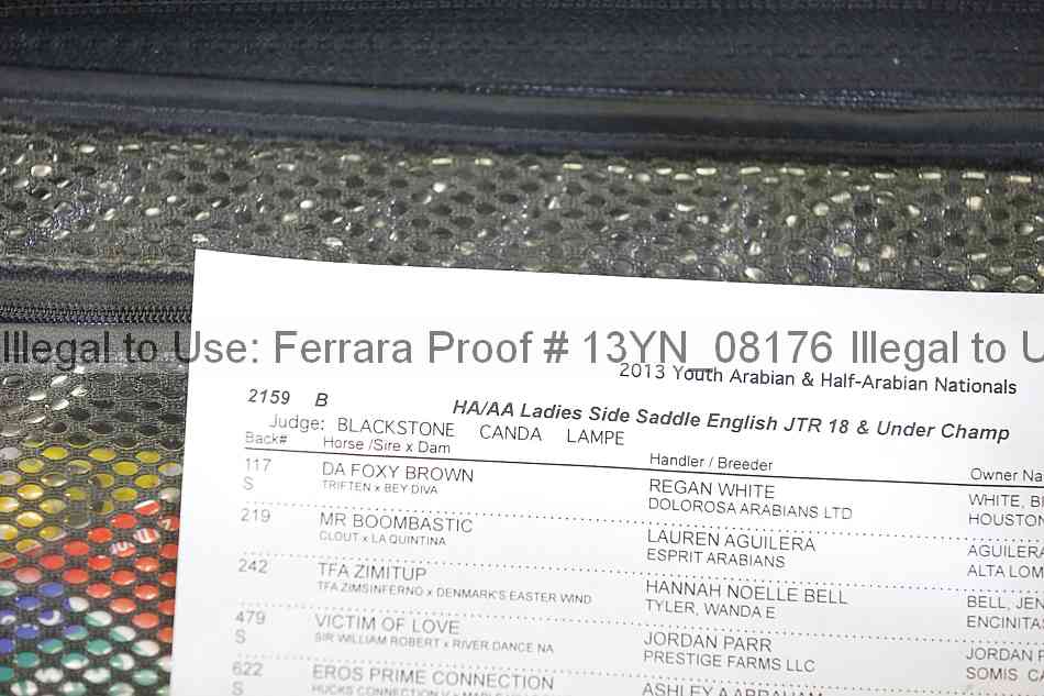 Proof 13yn_08176
