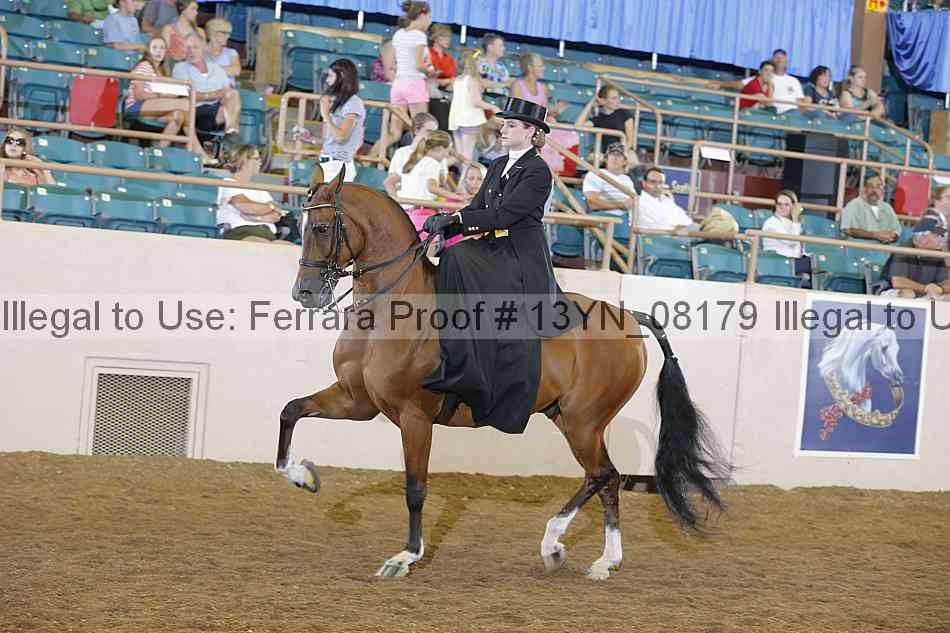 Proof 13yn_08179