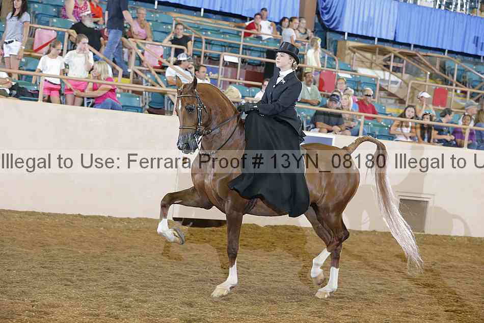 Proof 13yn_08180