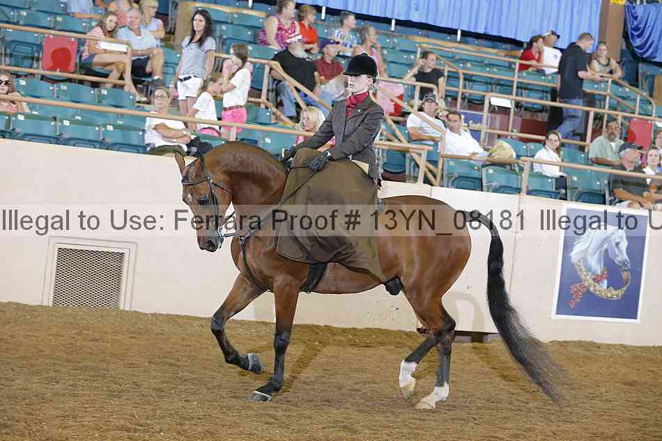 Proof 13yn_08181