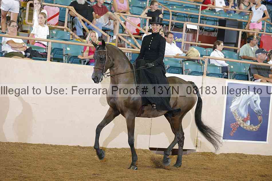 Proof 13yn_08183