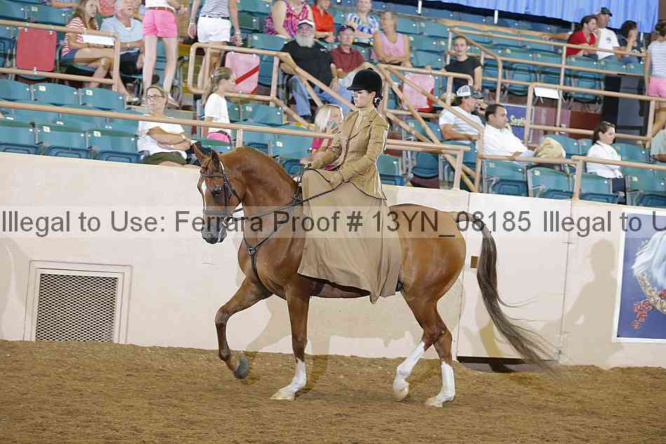 Proof 13yn_08185