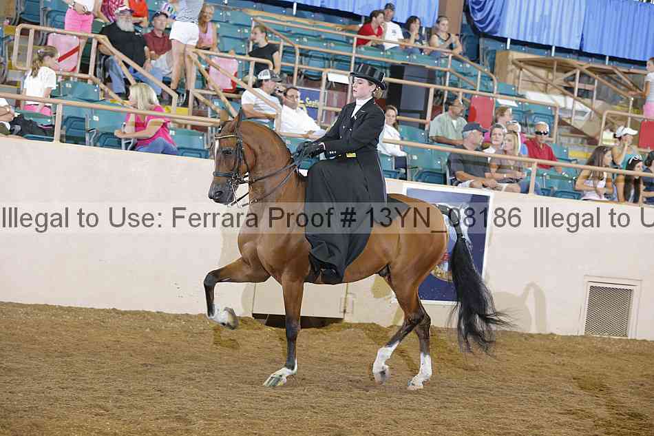 Proof 13yn_08186