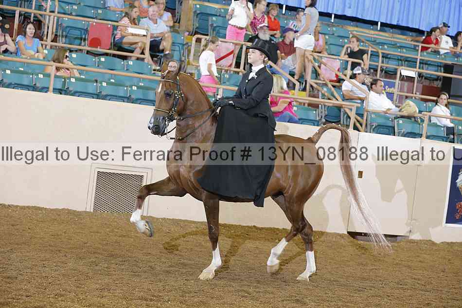 Proof 13yn_08188