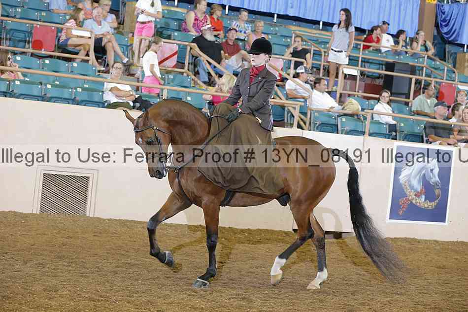Proof 13yn_08191