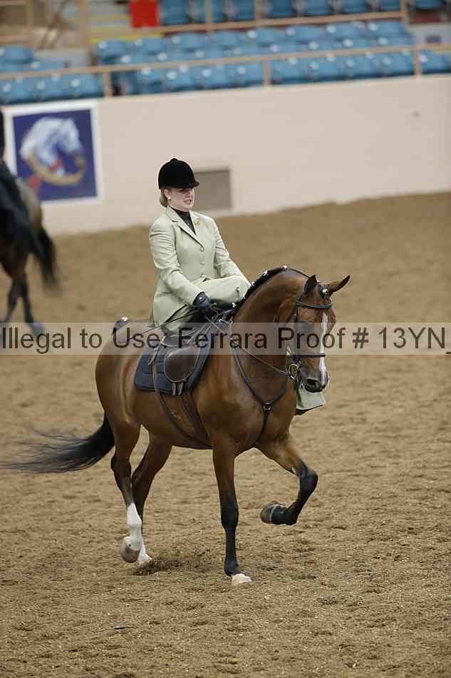 Proof 13yn_08194