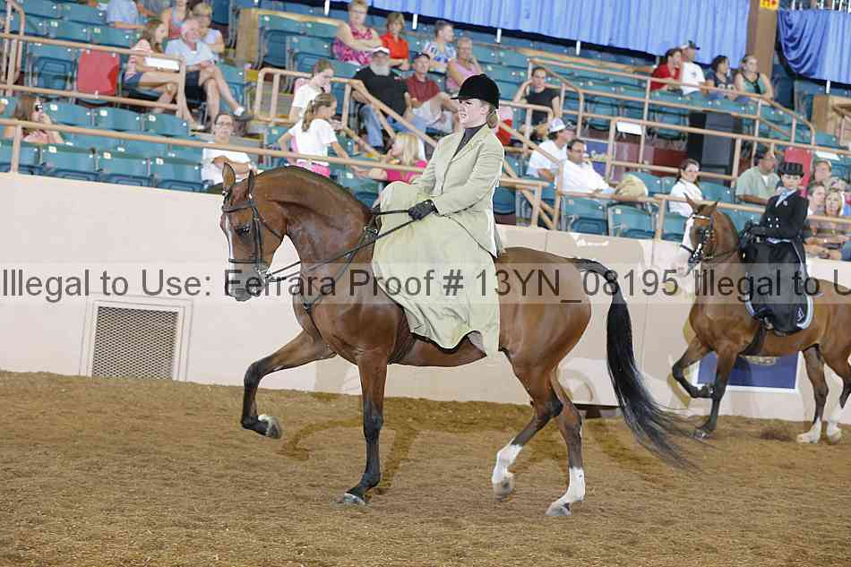 Proof 13yn_08195