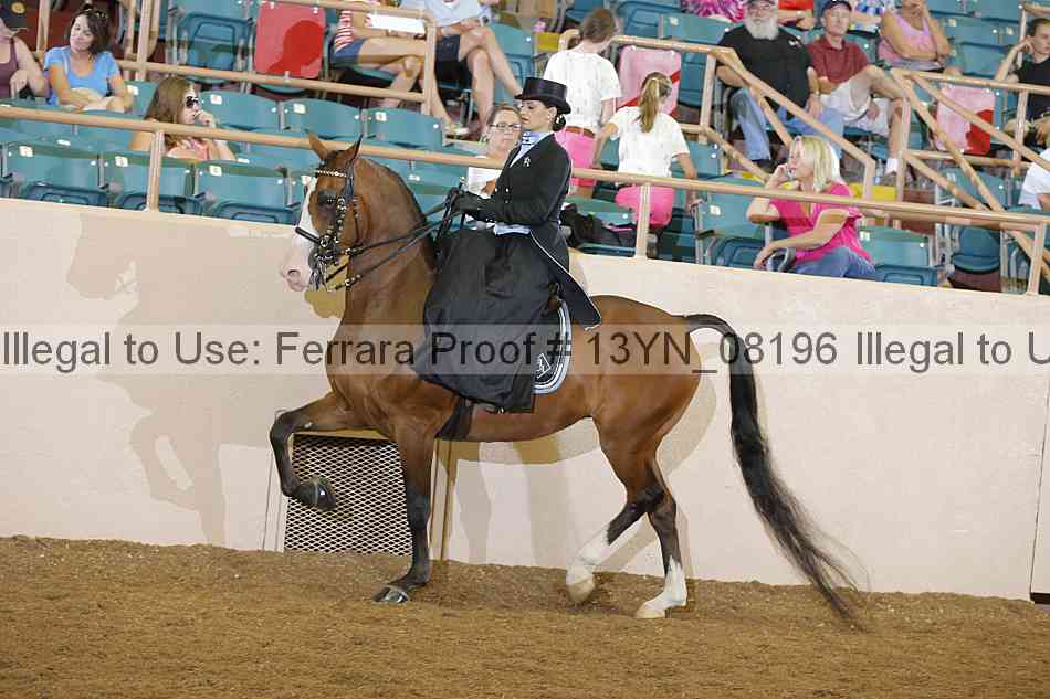 Proof 13yn_08196