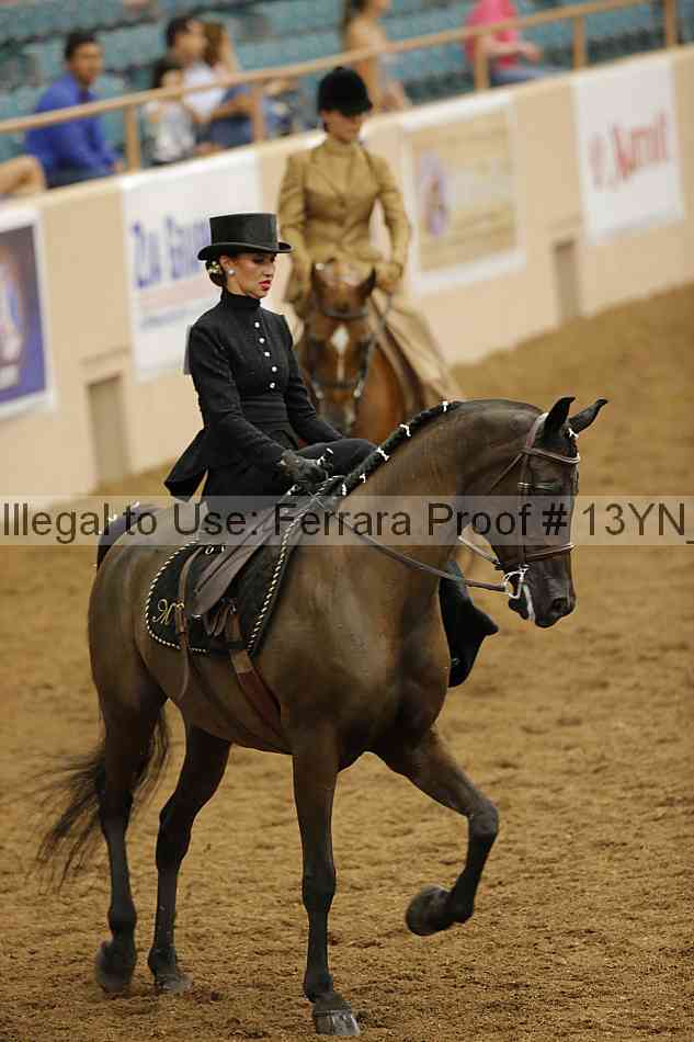 Proof 13yn_08197
