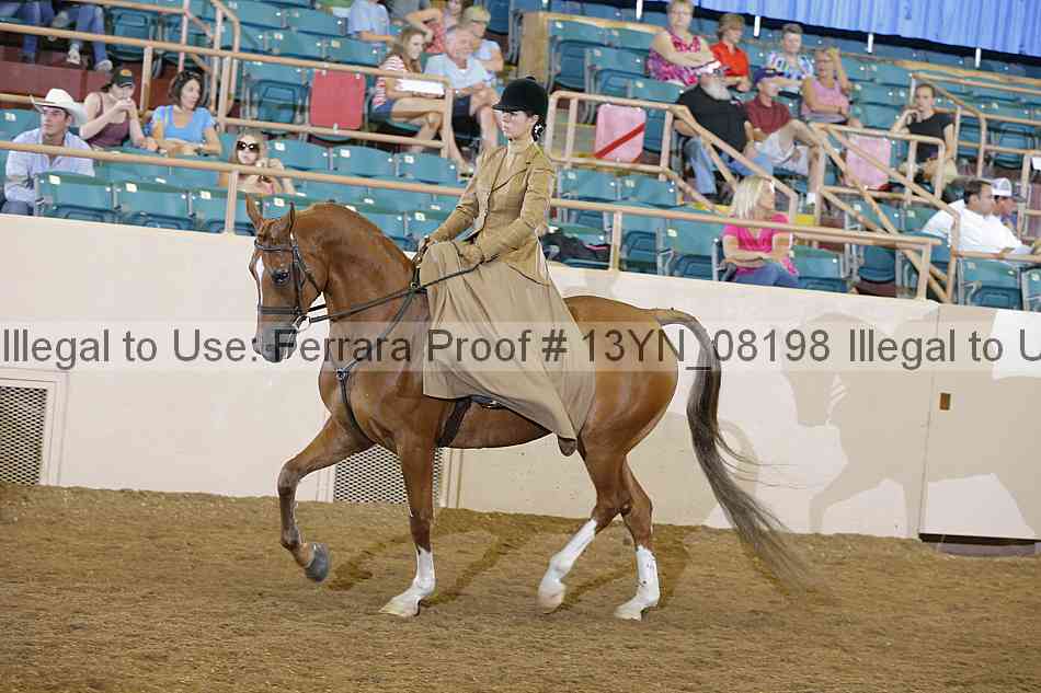 Proof 13yn_08198