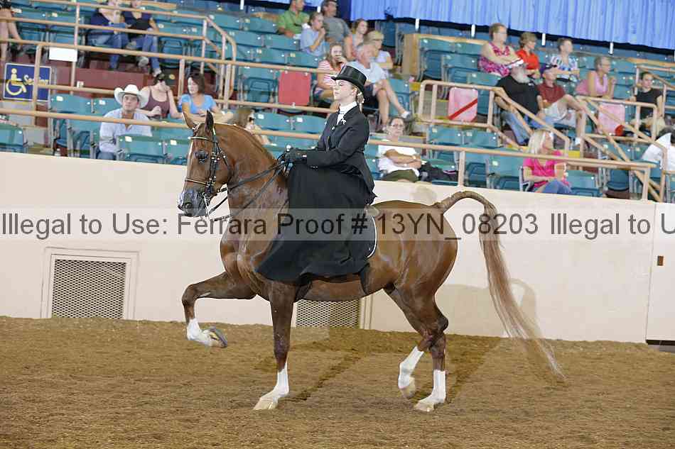 Proof 13yn_08203