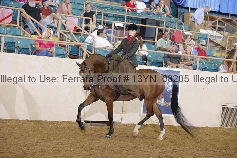 Proof 13yn_08205
