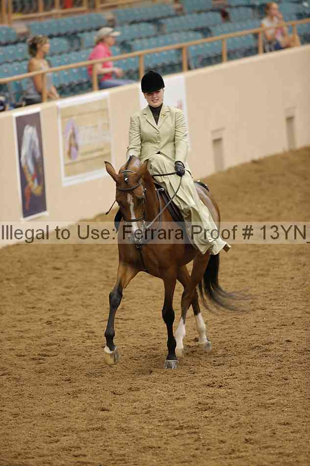 Proof 13yn_08206