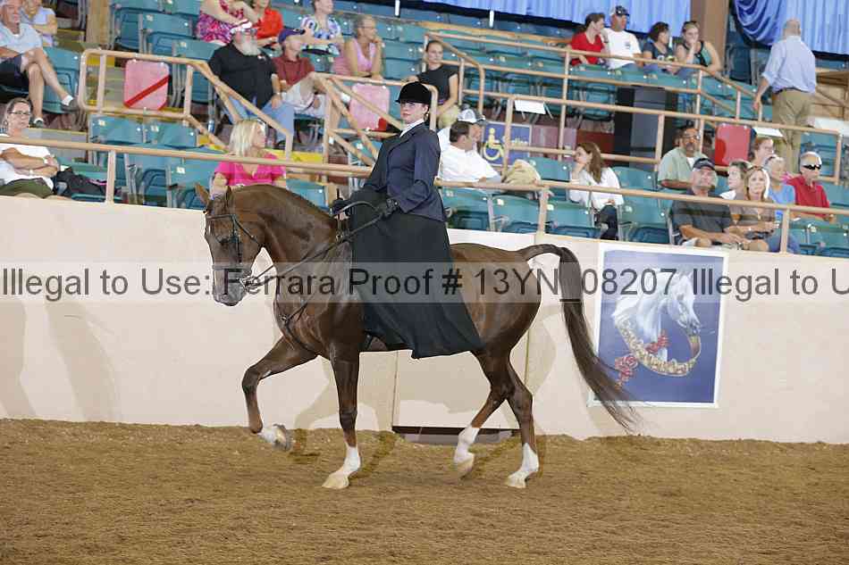 Proof 13yn_08207