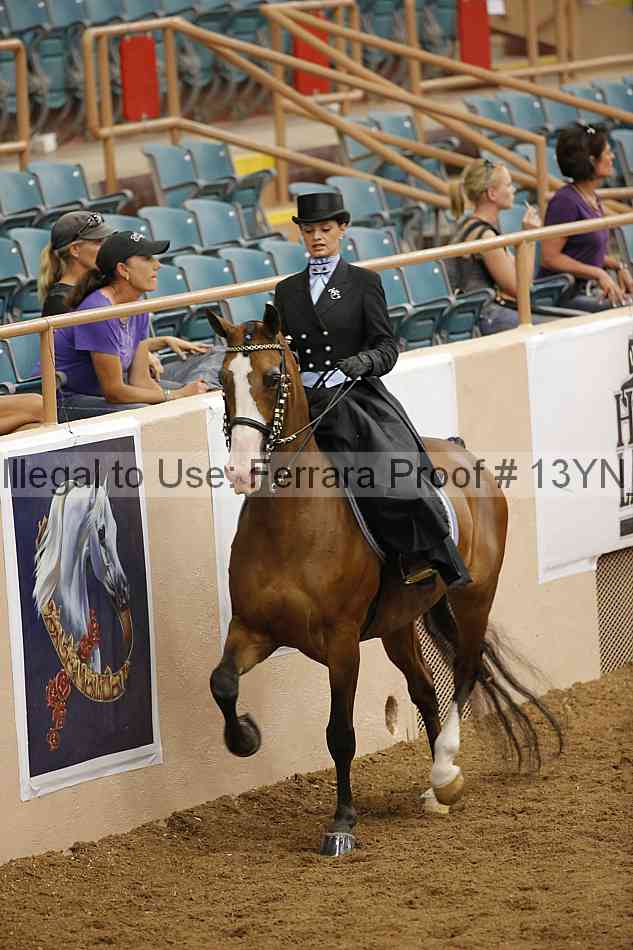 Proof 13yn_08209