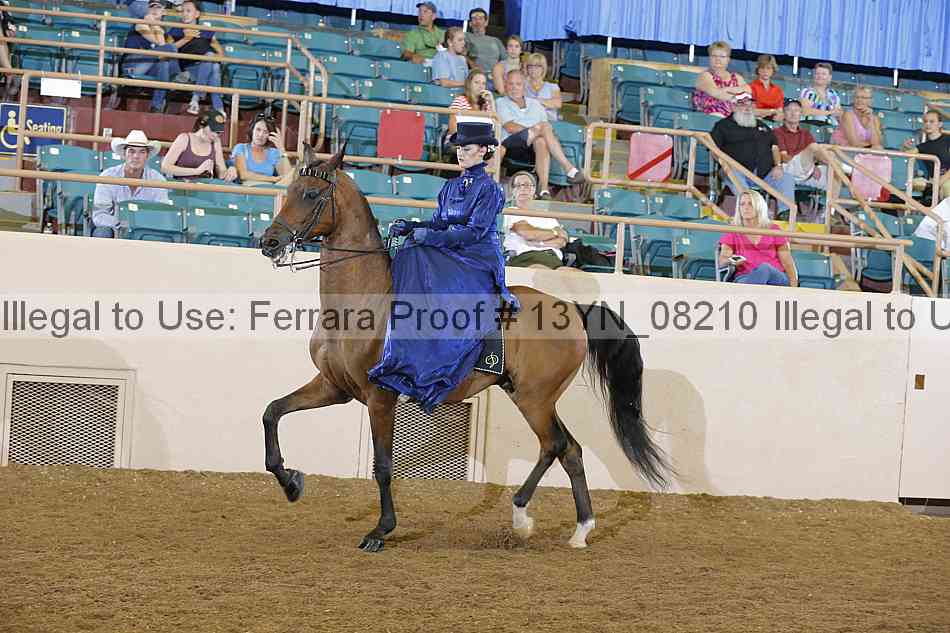 Proof 13yn_08210