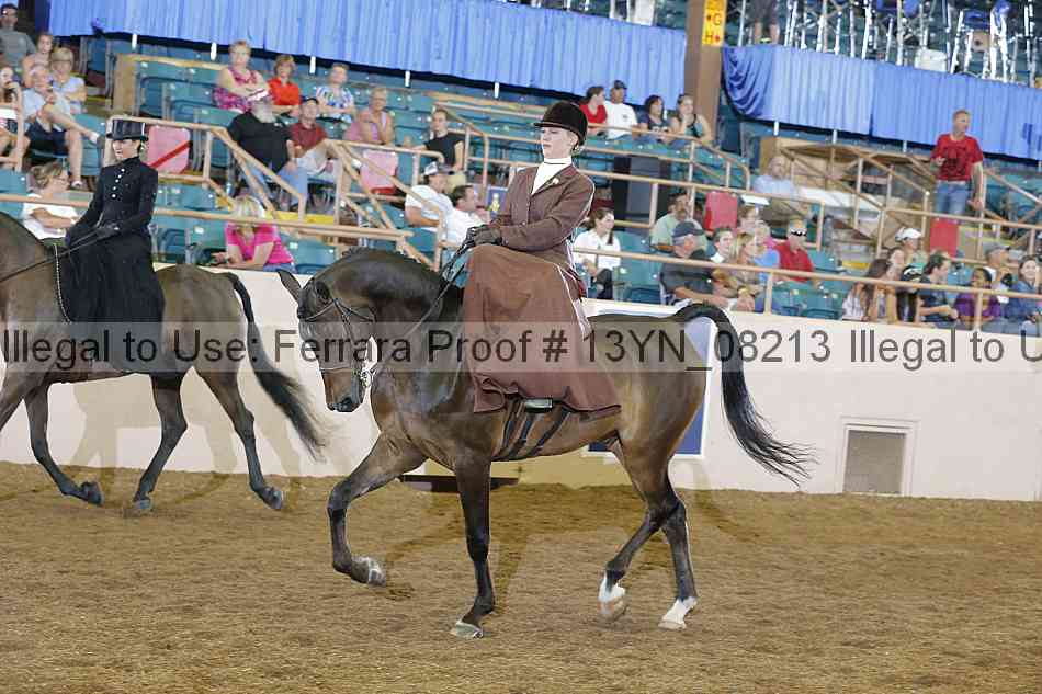 Proof 13yn_08213