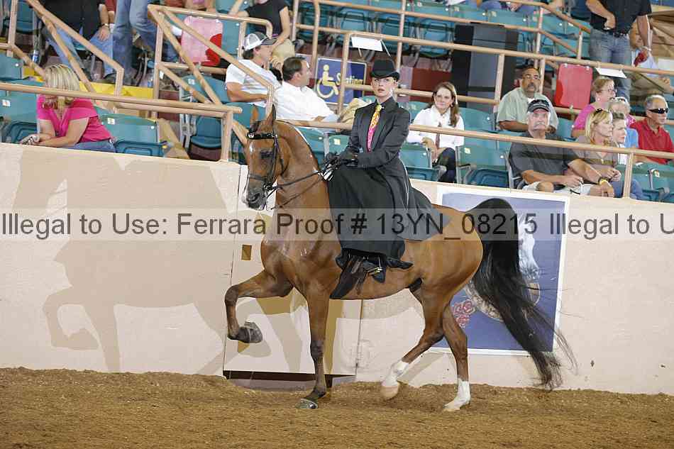 Proof 13yn_08215