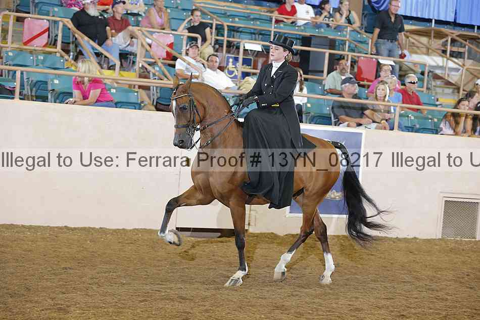 Proof 13yn_08217
