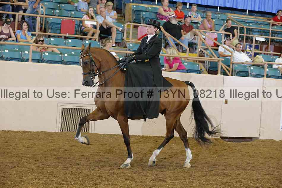 Proof 13yn_08218