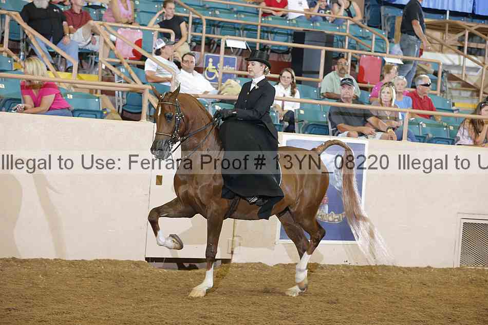 Proof 13yn_08220