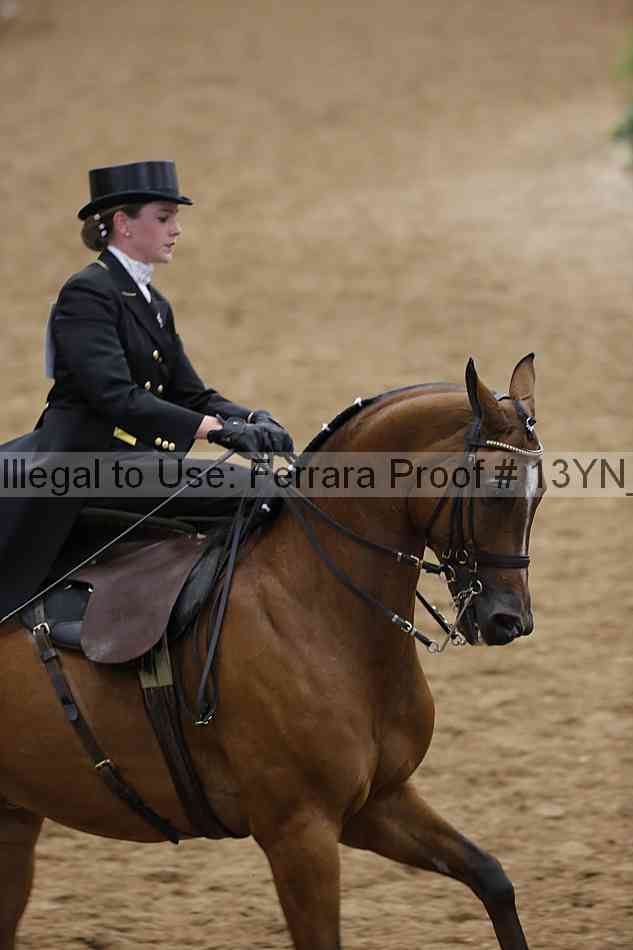 Proof 13yn_08222