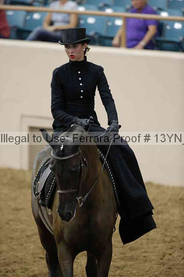 Proof 13yn_08225