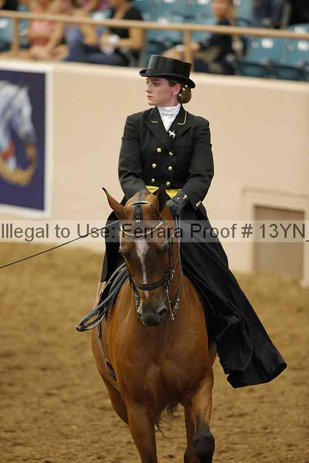 Proof 13yn_08226