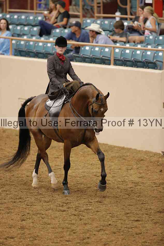 Proof 13yn_08231
