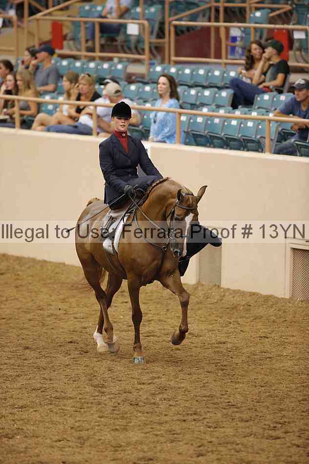 Proof 13yn_08232