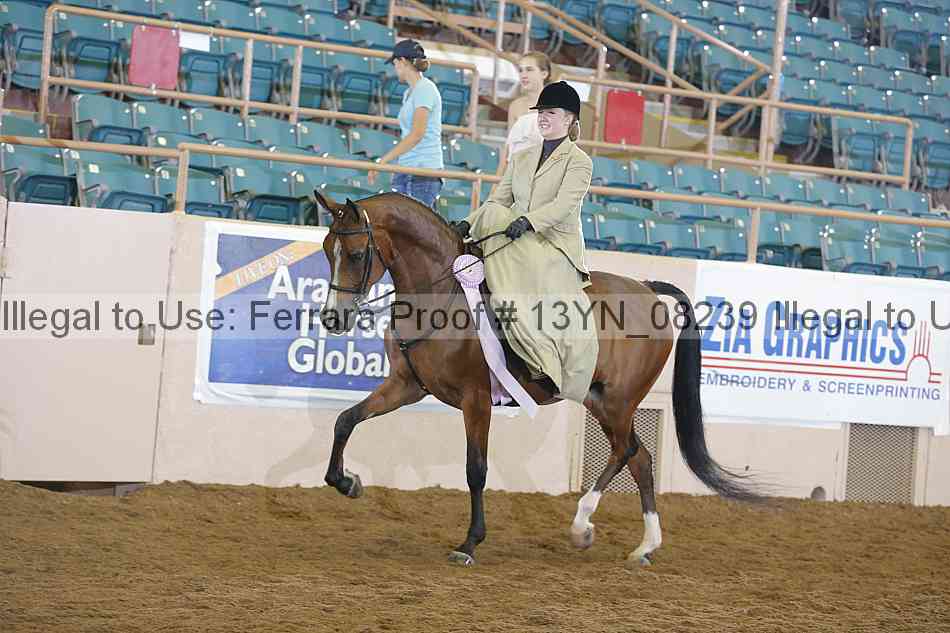 Proof 13yn_08239