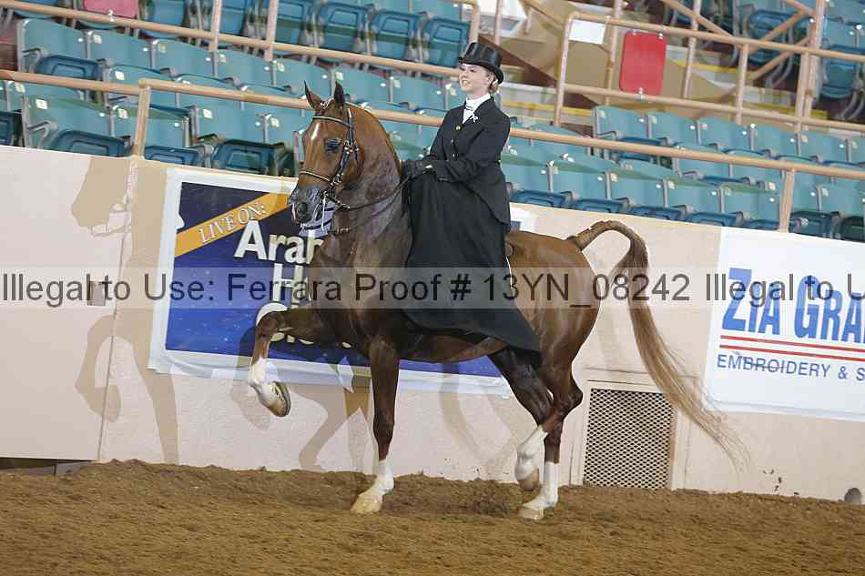 Proof 13yn_08242