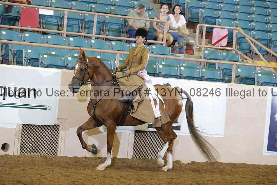 Proof 13yn_08246