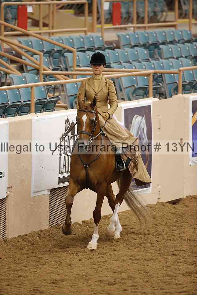 Proof 13yn_08247