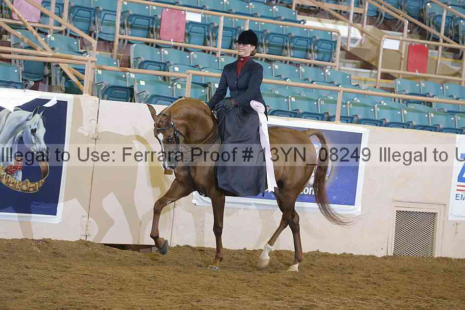 Proof 13yn_08249
