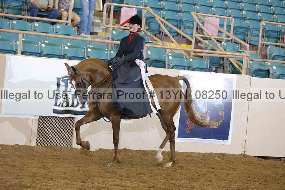 Proof 13yn_08250
