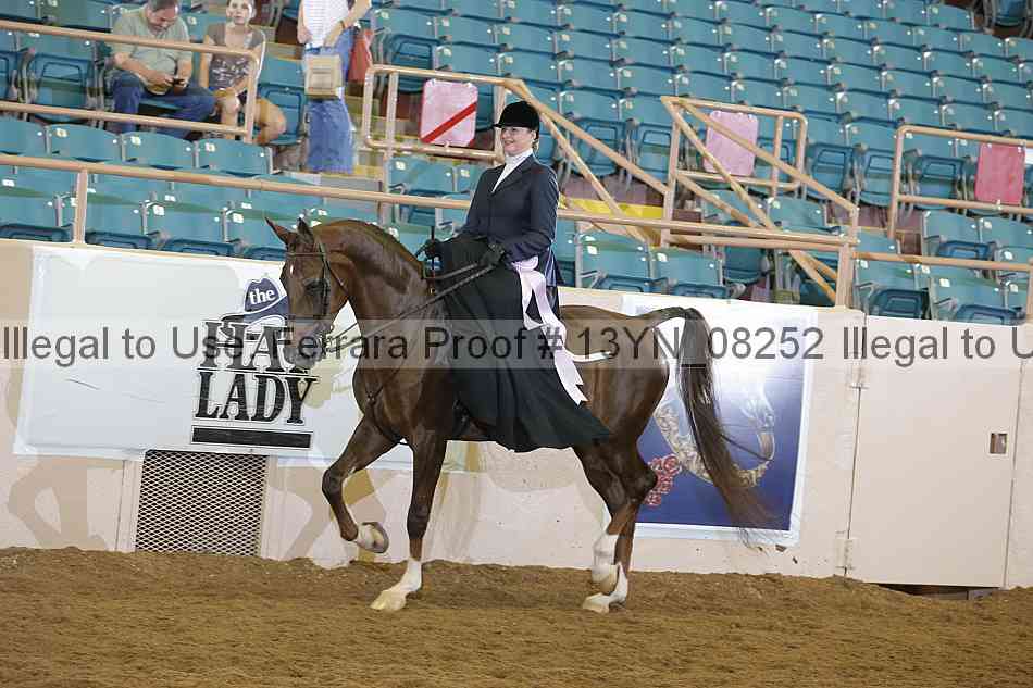 Proof 13yn_08252