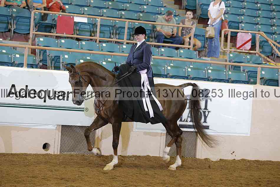 Proof 13yn_08253