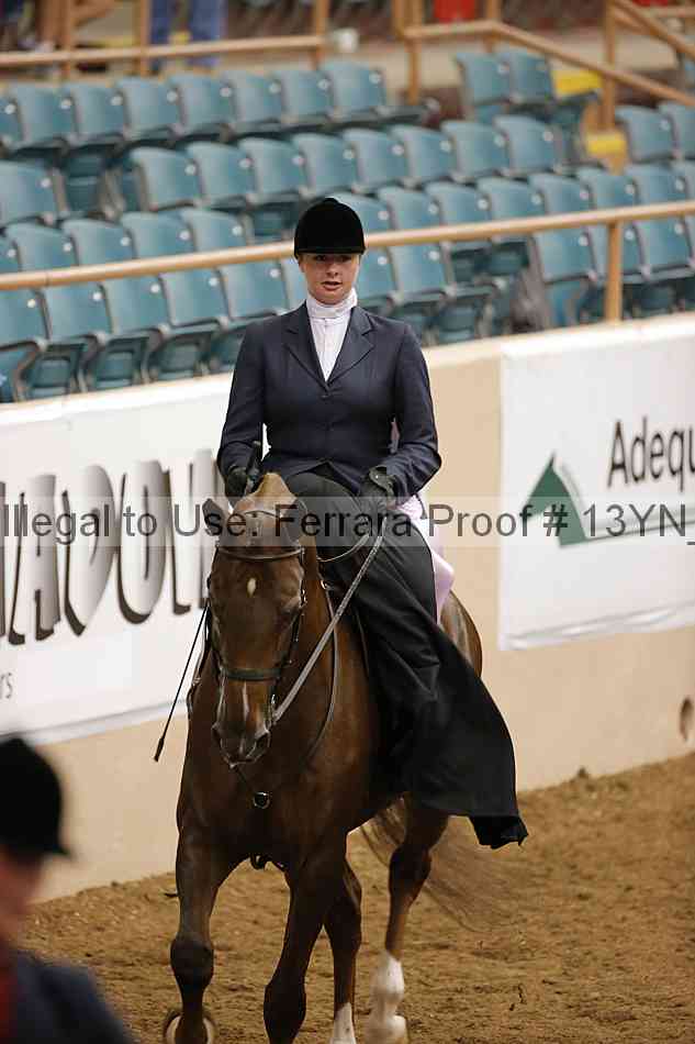 Proof 13yn_08255