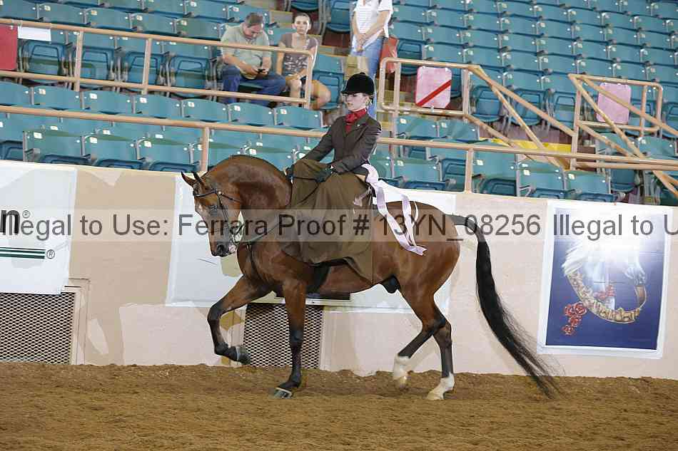 Proof 13yn_08256