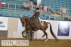13yn_08256 proof