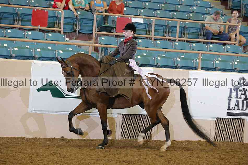 Proof 13yn_08257